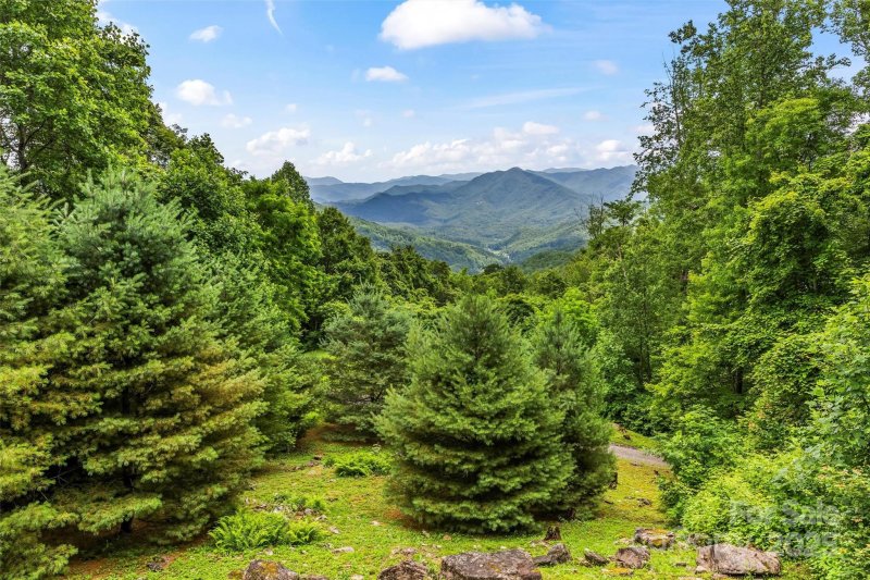 Property image 2 at 44 Black Bear Lane, Whittier, NC 28789