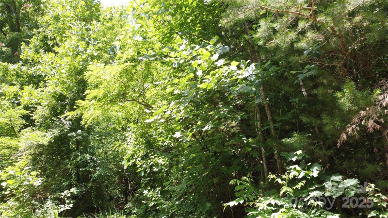 Property image 2 at 830 Cove Creek Lane, Weaverville, NC 28787