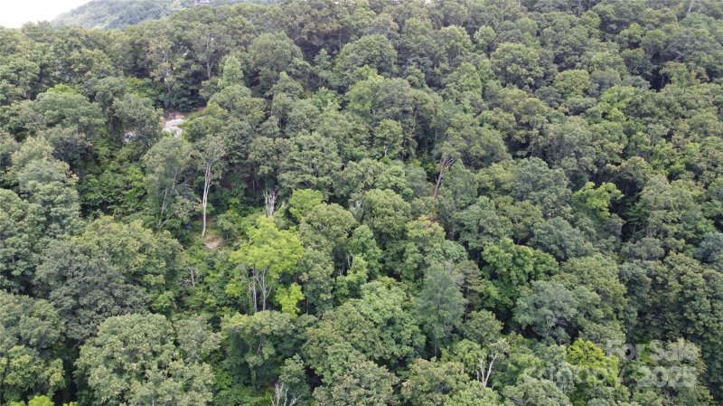 Property image 4 at 830 Cove Creek Lane, Weaverville, NC 28787