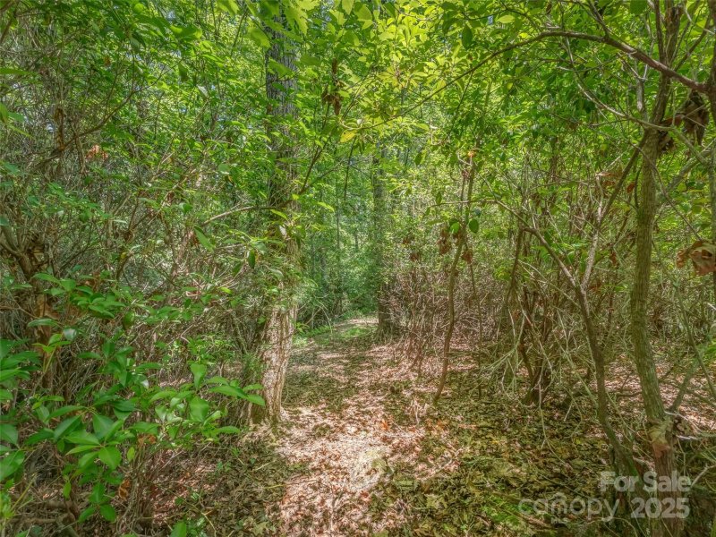 Property image 4 of 0000 Newcastle Road in Chasewood, Brevard, NC 28712