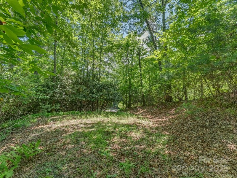 Property image 5 of 0000 Newcastle Road in Chasewood, Brevard, NC 28712