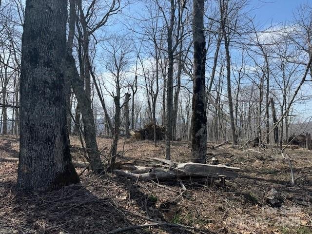 Property image 2 at 389 Mckinney Gap Road, Mars Hill, NC 28754