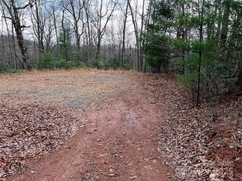 Property image 4 of 290 Shoal Creek Road in Green River Ridges, Zirconia, NC 28739