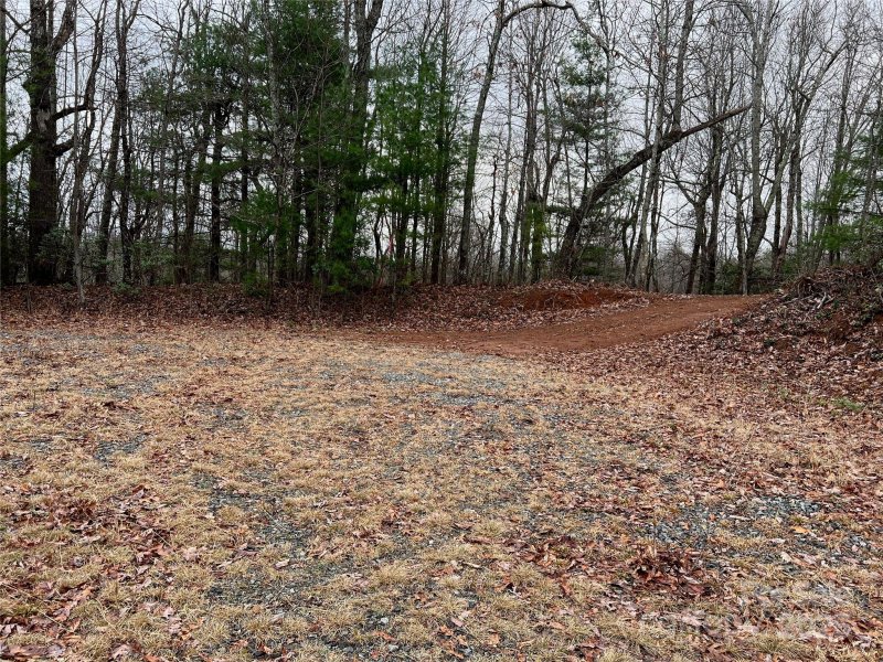 Property image 5 of 290 Shoal Creek Road in Green River Ridges, Zirconia, NC 28739