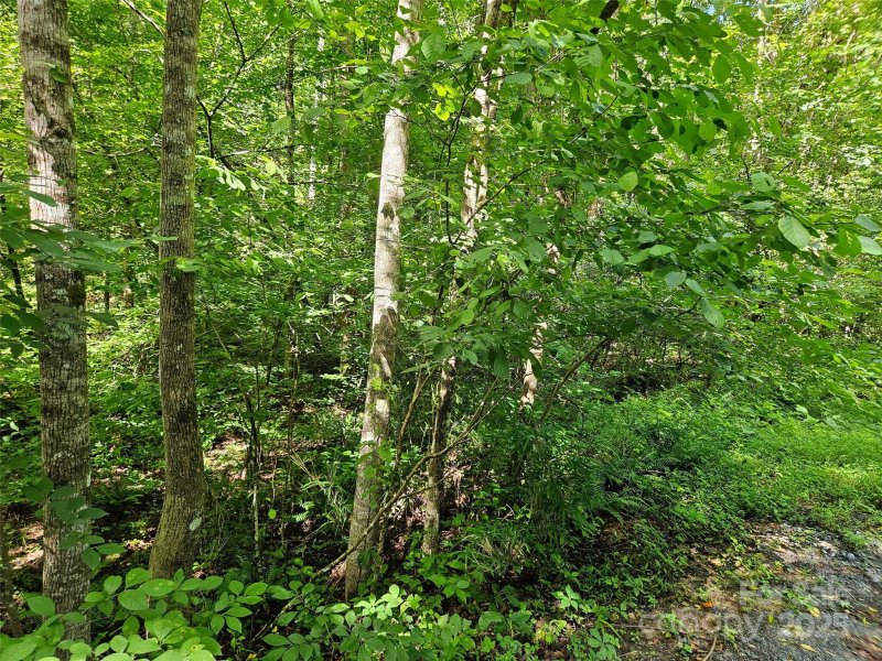 Property image 2 of 0 Sandpiper Avenue in Riverbend, Lake Lure, NC 28746