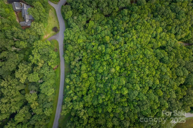 Property image 3 of Tbd Lot 106 Firethorn Trail in Firethorn, Blowing Rock, NC 28605