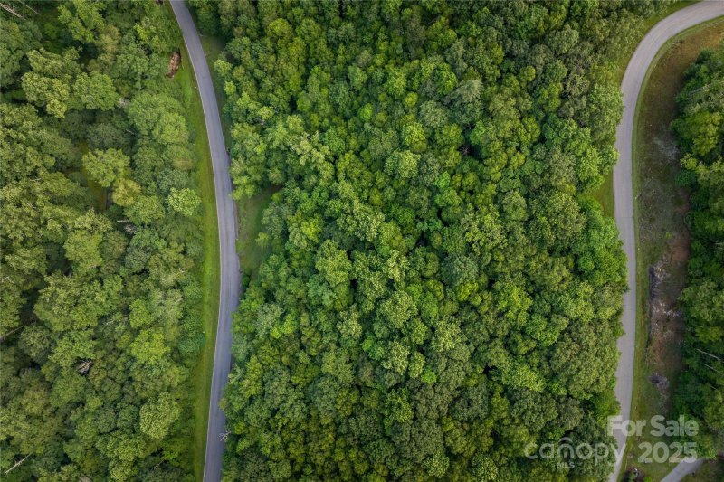 Property image 3 of Tbd Lot 107 Firethorn Trail in Firethorn, Blowing Rock, NC 28605