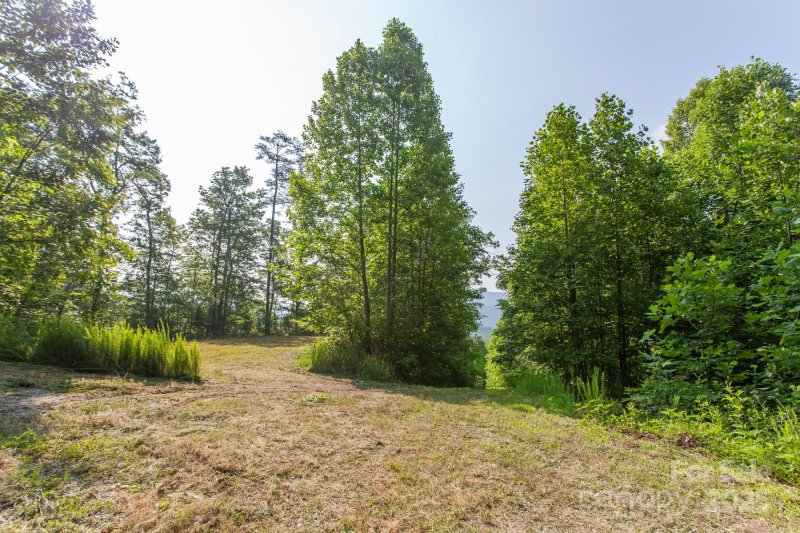 Property image 3 of 1200 Tobacco Branch Road in Great Smoky Mountain Sanctuary and Preserve, Almond, NC 28702