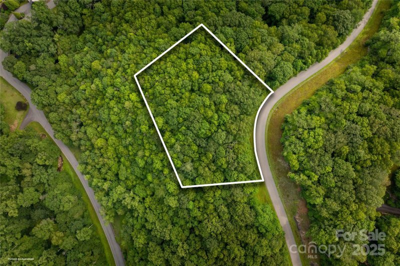 Property image 4 of Tbd Lot 122 Firethorn Trail in Firethorn, Blowing Rock, NC 28605