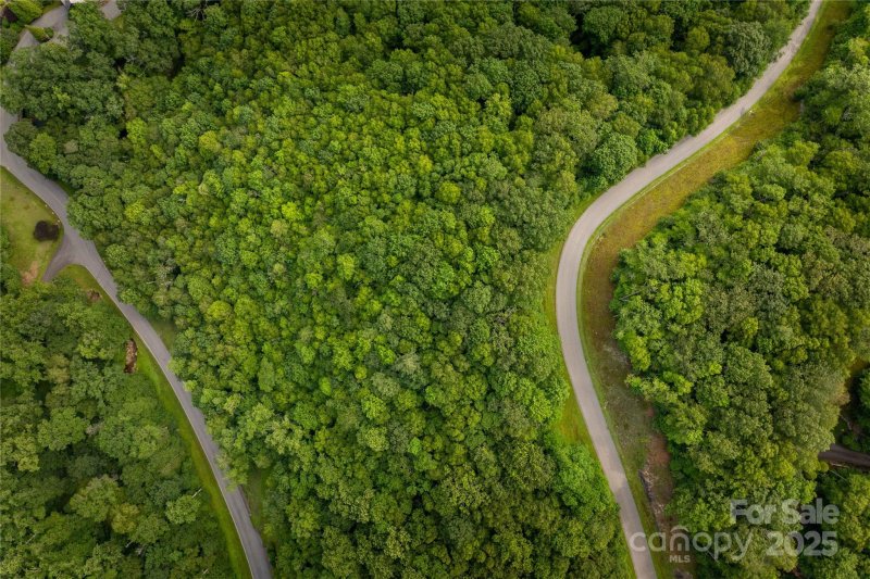 Property image 5 of Tbd Lot 122 Firethorn Trail in Firethorn, Blowing Rock, NC 28605