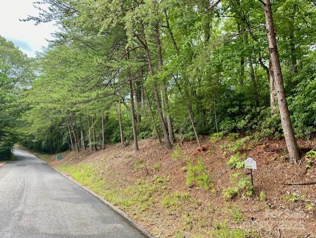 Property image 2 at 0 Quail Ridge Road, Lake Lure, NC 28746