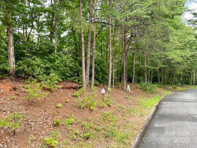 Property image 3 at 0 Quail Ridge Road, Lake Lure, NC 28746