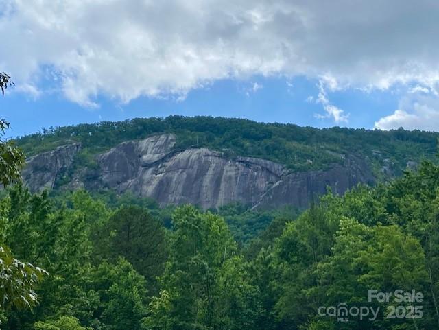 Property image 4 at 0 Quail Ridge Road, Lake Lure, NC 28746