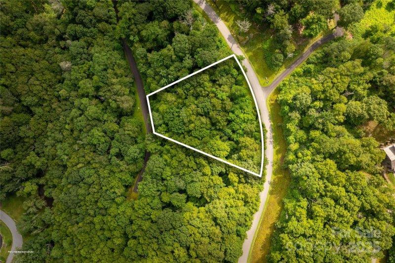 Property image 4 of Tbd Lot 124 Firethorn Trail in Firethorn, Blowing Rock, NC 28605