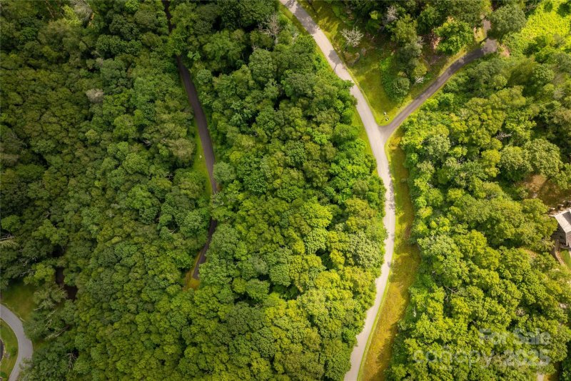 Property image 5 of Tbd Lot 124 Firethorn Trail in Firethorn, Blowing Rock, NC 28605