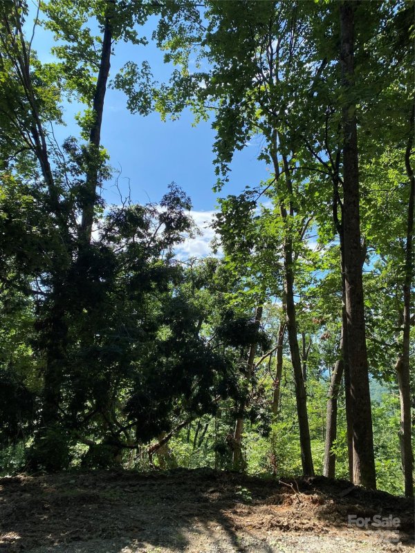 Property image 2 of 0 Ridgecrest Drive in Riverbend HIGHLANDS, Lake Lure, NC 28746