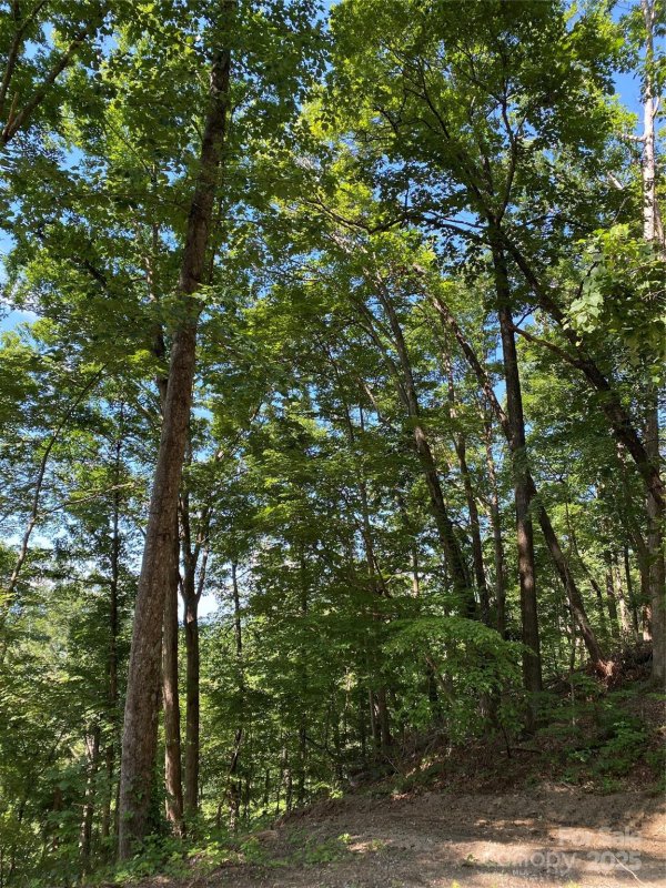 Property image 4 of 0 Ridgecrest Drive in Riverbend HIGHLANDS, Lake Lure, NC 28746