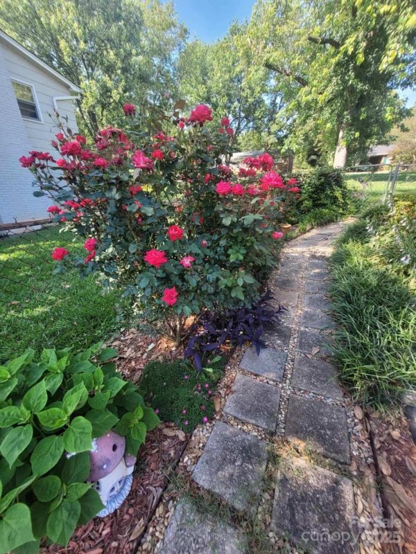 Property image 3 at 111 Redwood Lane, Gastonia, NC 28052