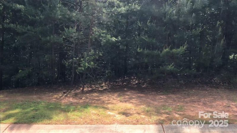 Property image 3 of 4012 Beechwood Spring Lane in Reflection Pointe, Belmont, NC 28012