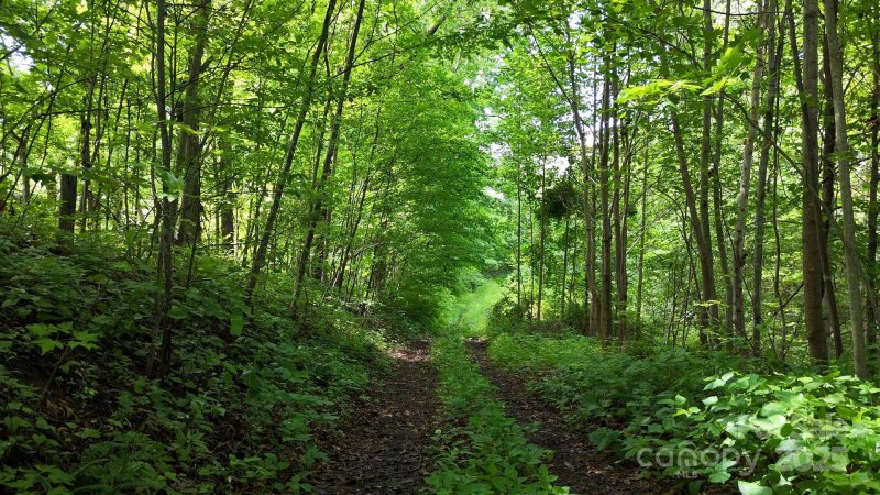 Property image 3 of 00 Liner Cove Road in Viewpoint Mountain Estates, Waynesville, NC 28786