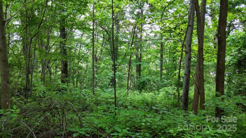 Property image 4 of 00 Liner Cove Road in Viewpoint Mountain Estates, Waynesville, NC 28786