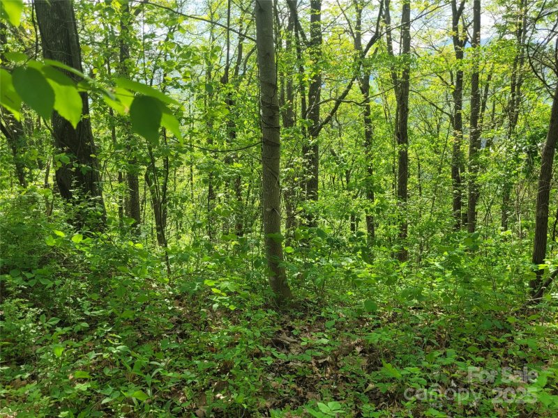 Property image 5 of 00 Liner Cove Road in Viewpoint Mountain Estates, Waynesville, NC 28786