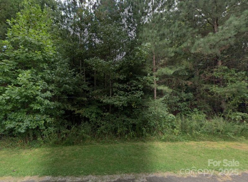 00 24 Majestic Pine Drive