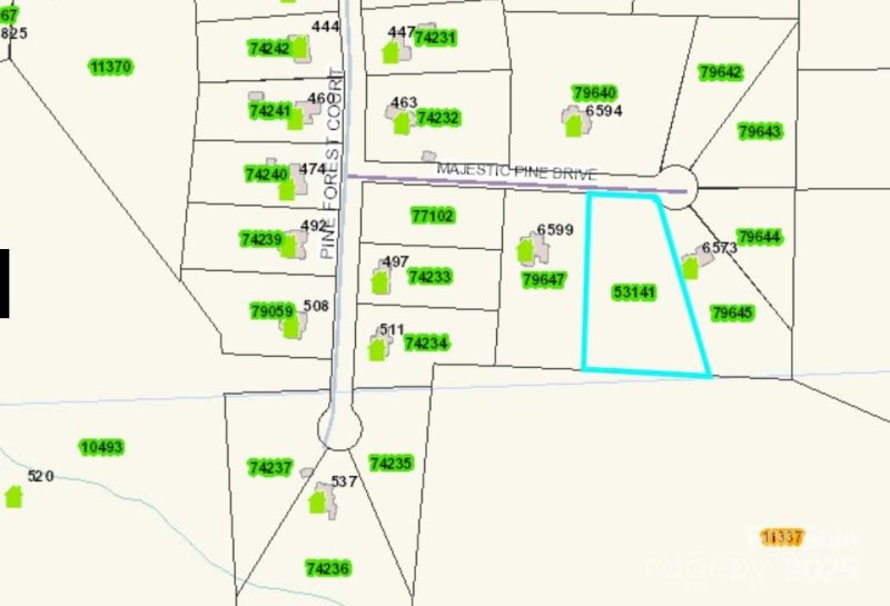 Property image 3 of 00 24 Majestic Pine Drive in Pine Forest, Vale, NC 28168