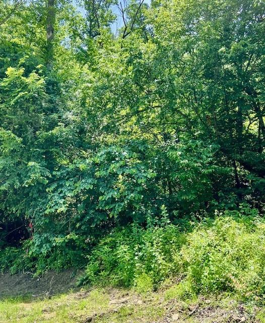 Property image 3 of Lots P12 22 P12 23 Green River Cove Road in White Water Mountain, Saluda, NC 28773