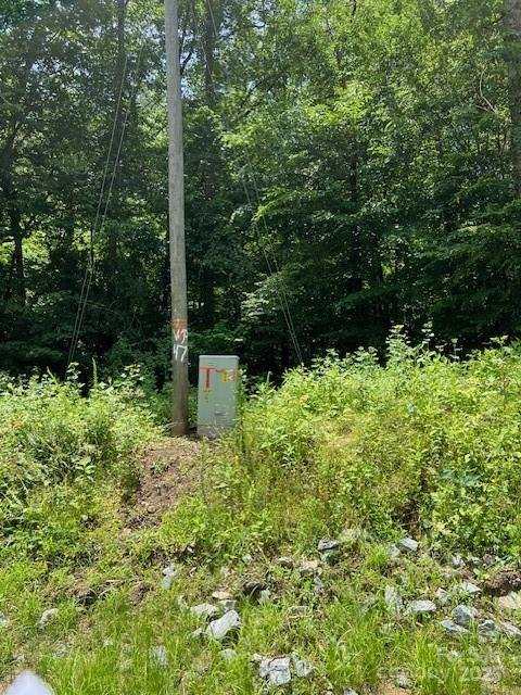 Property image 5 of Lots P12 22 P12 23 Green River Cove Road in White Water Mountain, Saluda, NC 28773