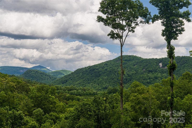 Property image 4 at 48 Falling Leaves Lane, Hendersonville, NC 28792