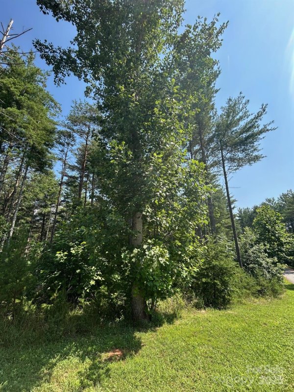 Property image 5 at 268 Crest View Drive, Nebo, NC 28761