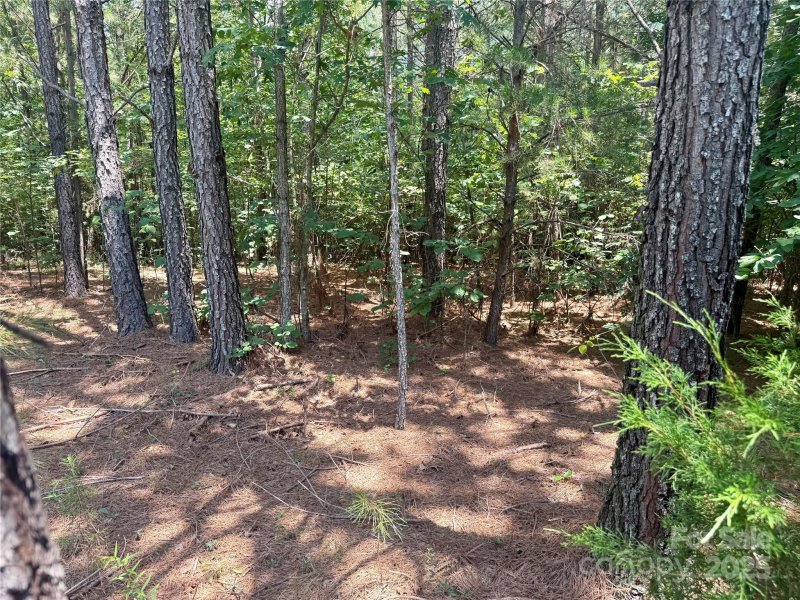 Property image 2 of Lot 262 Cross Creek Drive in Clearwater Creek, Rutherfordton, NC 28139