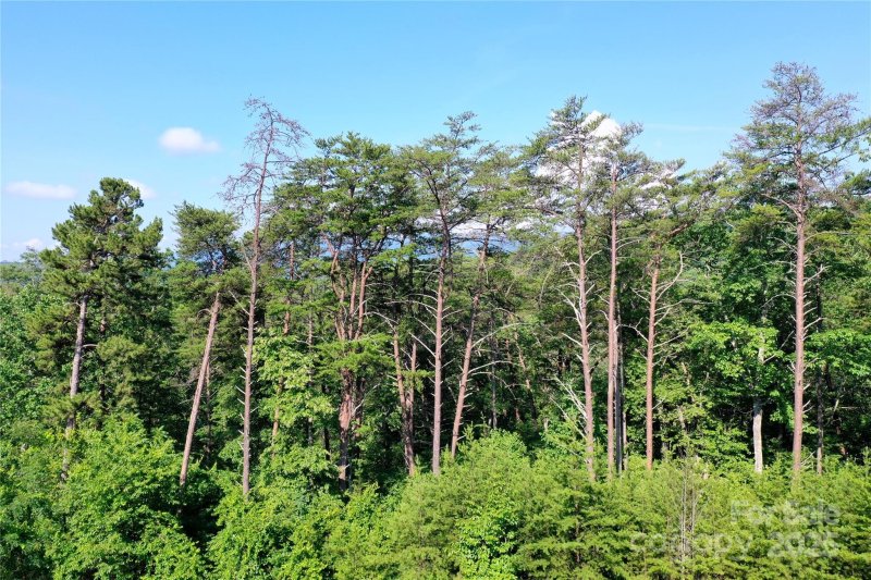 Property image 5 of 241 Rock Ledge Drive in Vista At Bills Mountain, Lake Lure, NC 28746