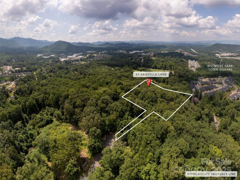 Property image 3 of 61 Arabella Lane in Arabella Heights, Arden, NC 28704