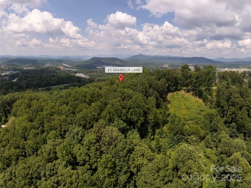 Property image 5 of 61 Arabella Lane in Arabella Heights, Arden, NC 28704