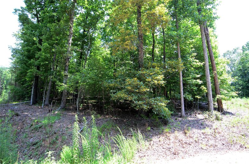 Property image 3 at 00 Woodchuck Lane, Marion, NC 28752