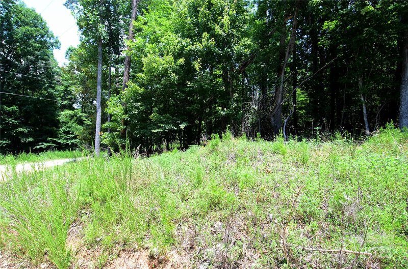 Property image 5 at 00 Woodchuck Lane, Marion, NC 28752