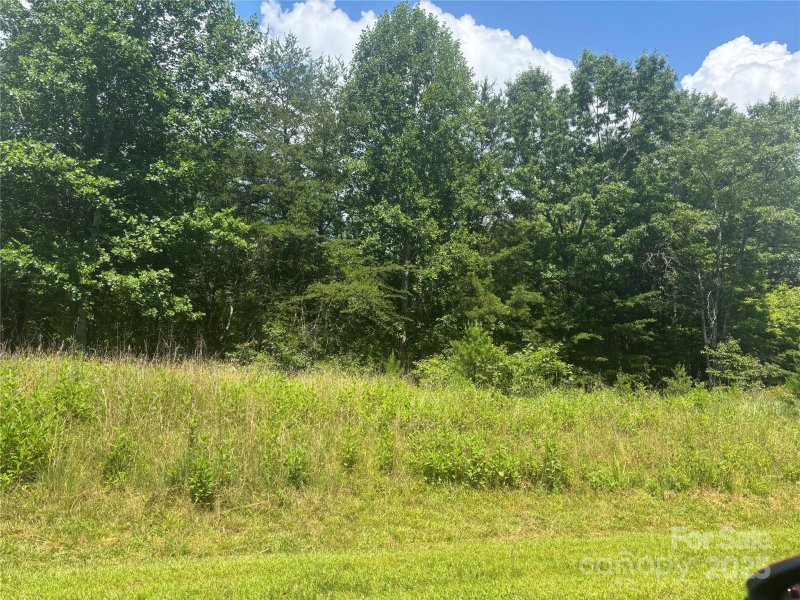 Property image 3 at 28 Fallen Tree Lane, Mill Spring, NC 28756