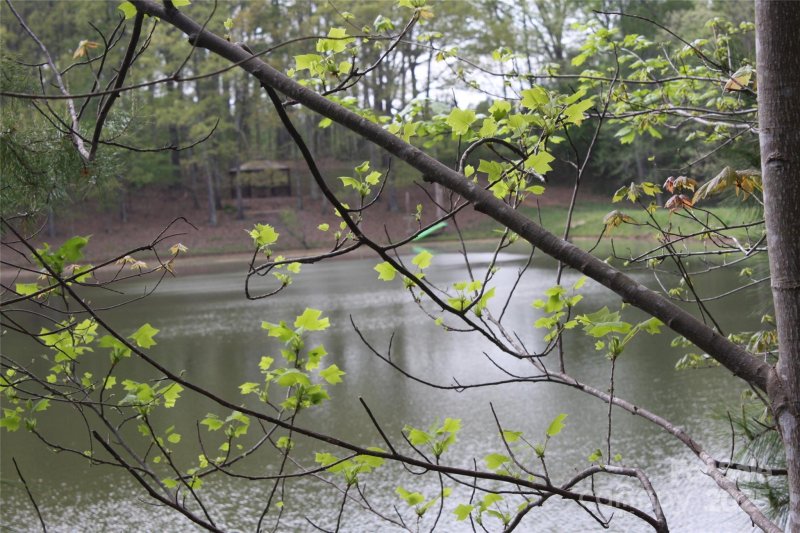 Property image 4 of 808 Bellegray Road in Irongate, Clover, SC 29710