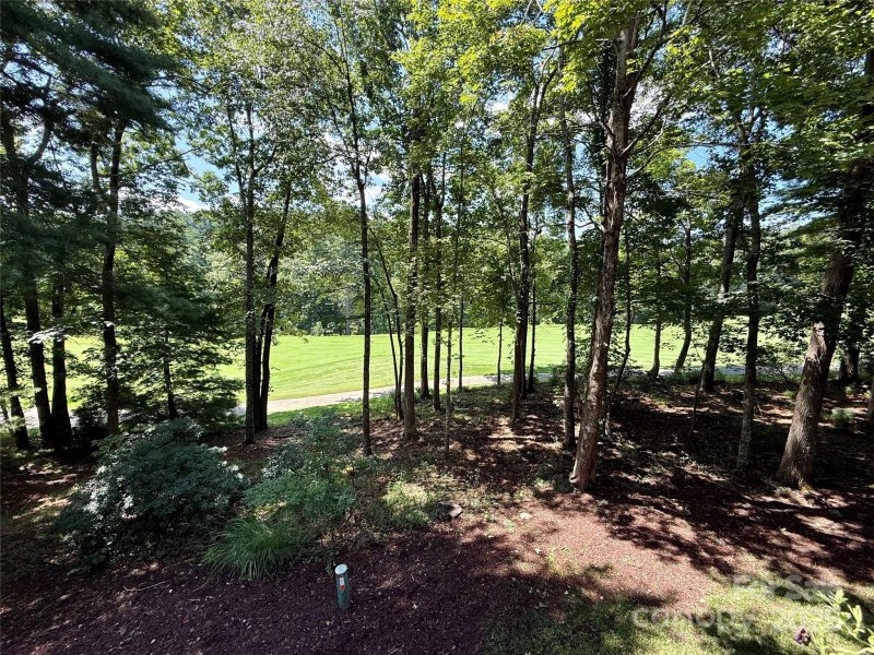 196 Pine Shadow Drive