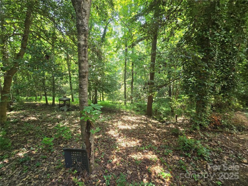 Property image 5 at 5 Auburndale Drive, Asheville, NC 28806