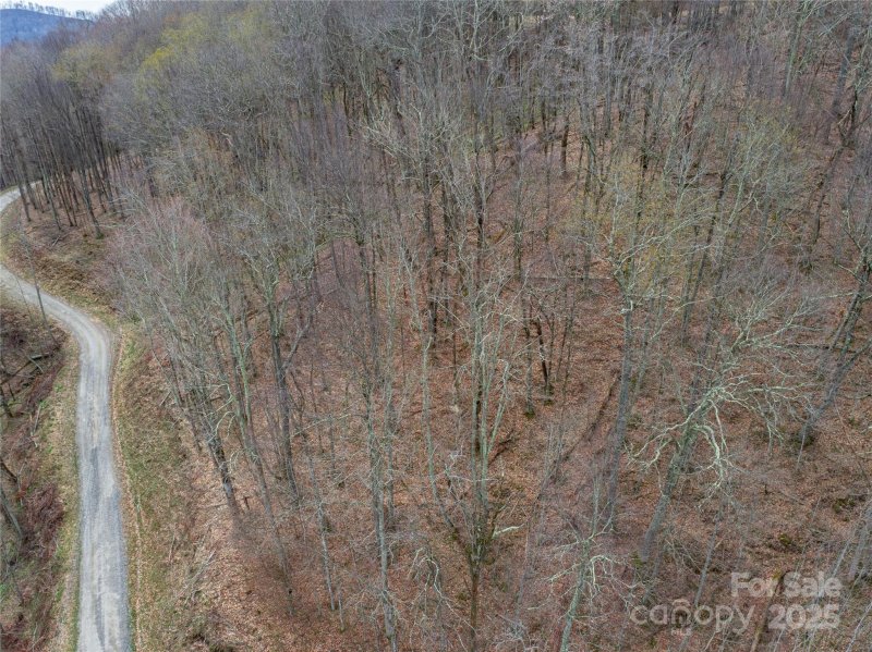Property image 2 of Lot 150 Puncheon Lane in Wolf Laurel, Mars Hill, NC 28754
