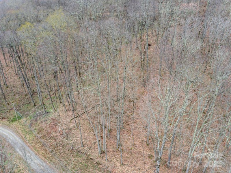 Property image 3 of Lot 150 Puncheon Lane in Wolf Laurel, Mars Hill, NC 28754