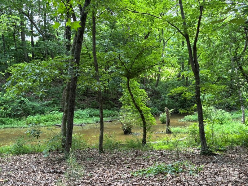 Property image 3 of 116 Long Cove in Uwharrie Point, New London, NC 28127