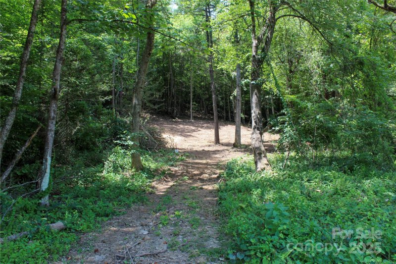 Property image 4 of 9999 Gabriels Creek Road in Settlers Cove, Mars Hill, NC 28754