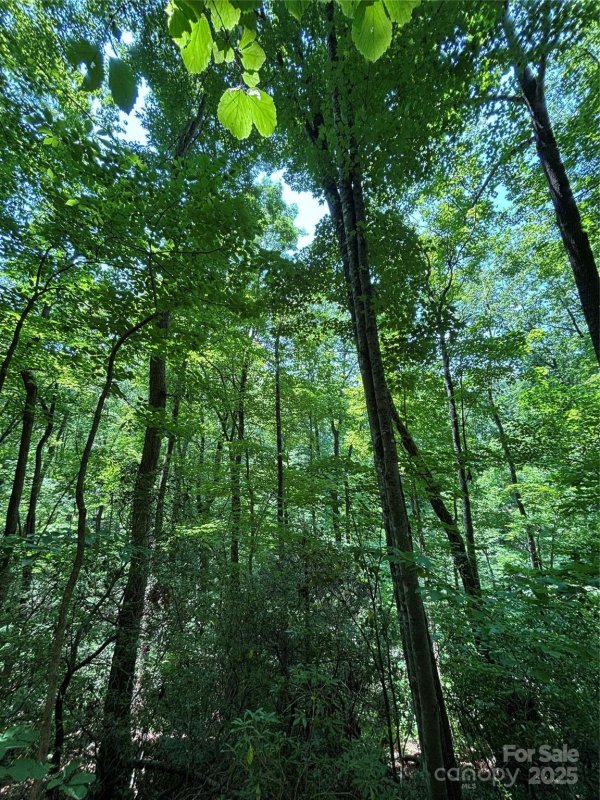 Property image 2 of 9999 Oak Ridge Road in Hidden Valley, Hendersonville, NC 28792