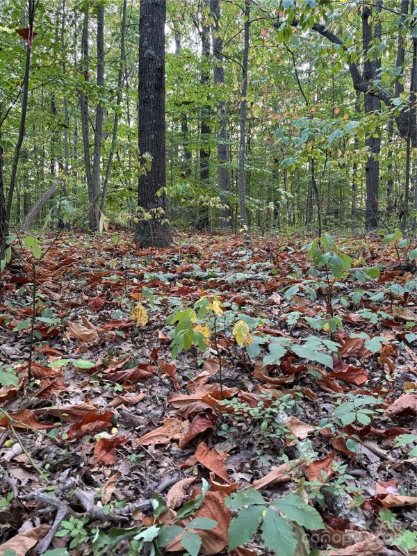 Property image 3 of 9999 Oak Ridge Road in Hidden Valley, Hendersonville, NC 28792