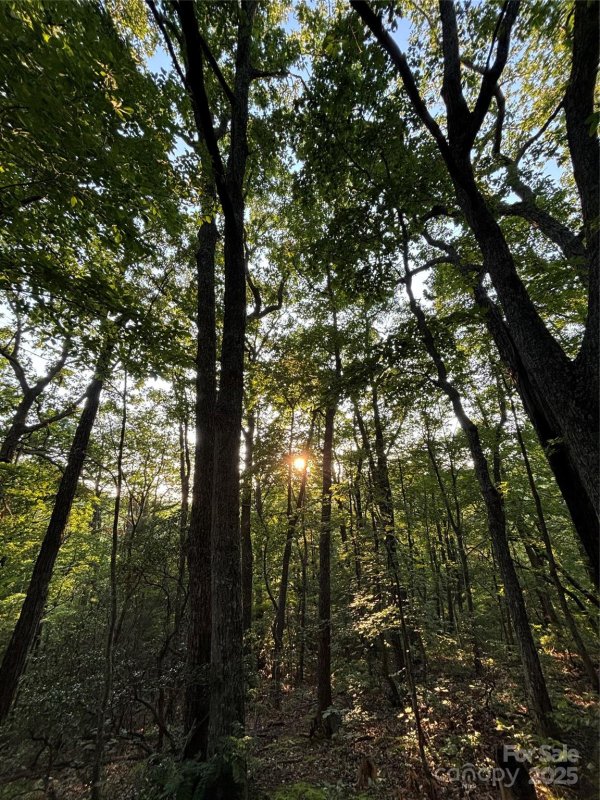 Property image 4 of 9999 Oak Ridge Road in Hidden Valley, Hendersonville, NC 28792