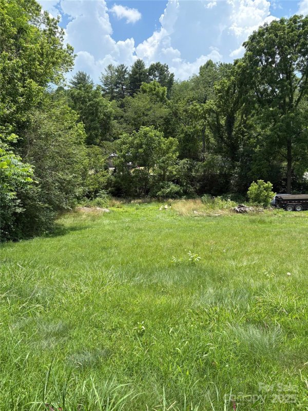 Property image 3 at 00 Painter Street, Canton, NC 28716